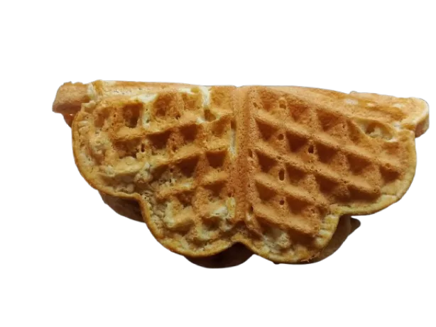 Kapalı Waffle Tabanı